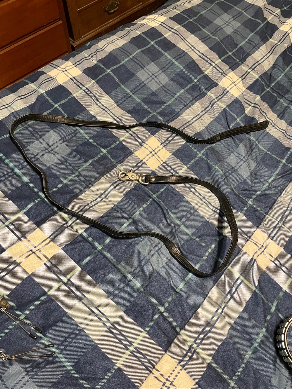leash #2
